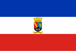 Bandera de Chillán Viejo